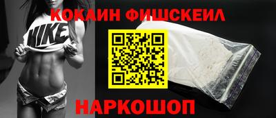 крисы Можга