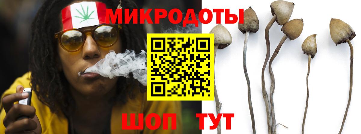 Псилоцибиновые грибы Cubensis  Вход с VPN  купить  цена  Фролово 